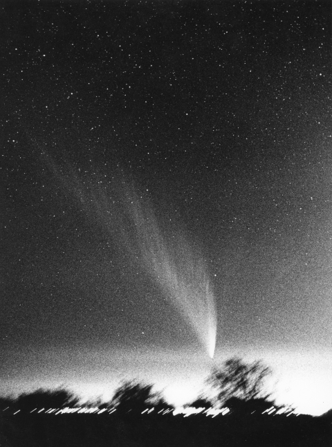 Komet West